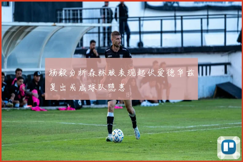 杨毅分析森林狼表现起伏爱德华兹复出或成球队隐患